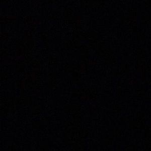 Meet your Posher, Darius